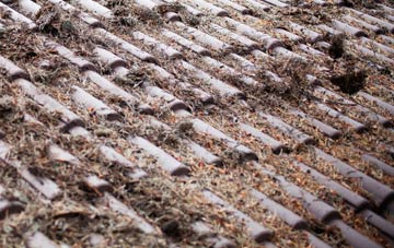 Cuil roof cleaning companies